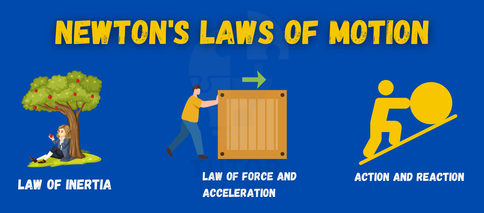 Newtons-Laws-of-Motion